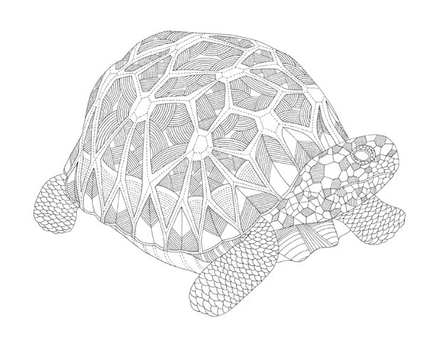 Animal Kingdom - zelva